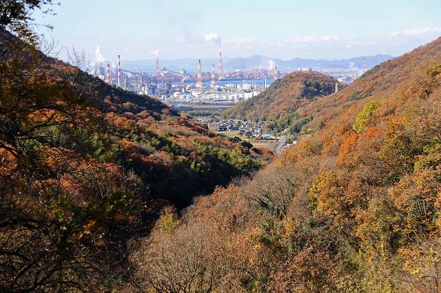 a0242438_21192201.jpg