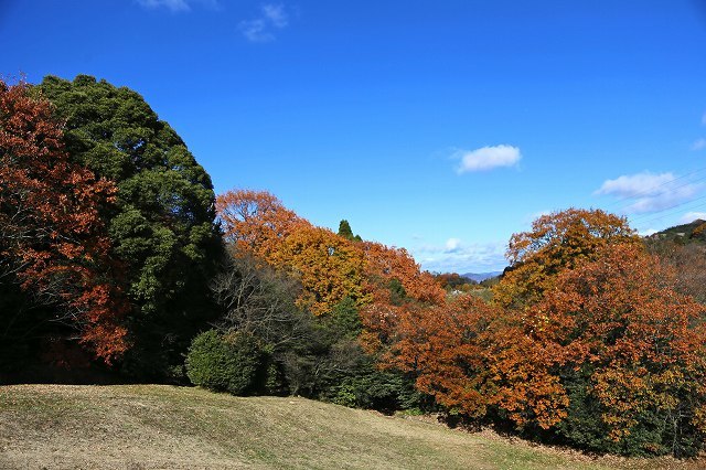 a0242438_21202673.jpg