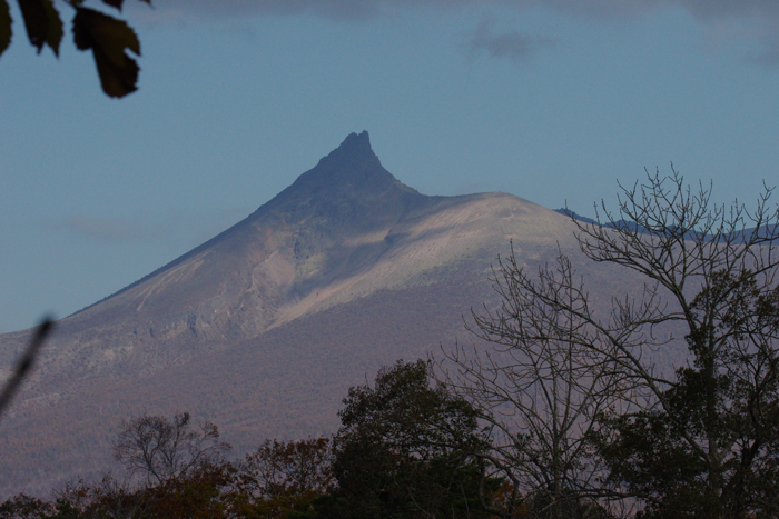 b0247838_13501378.jpg