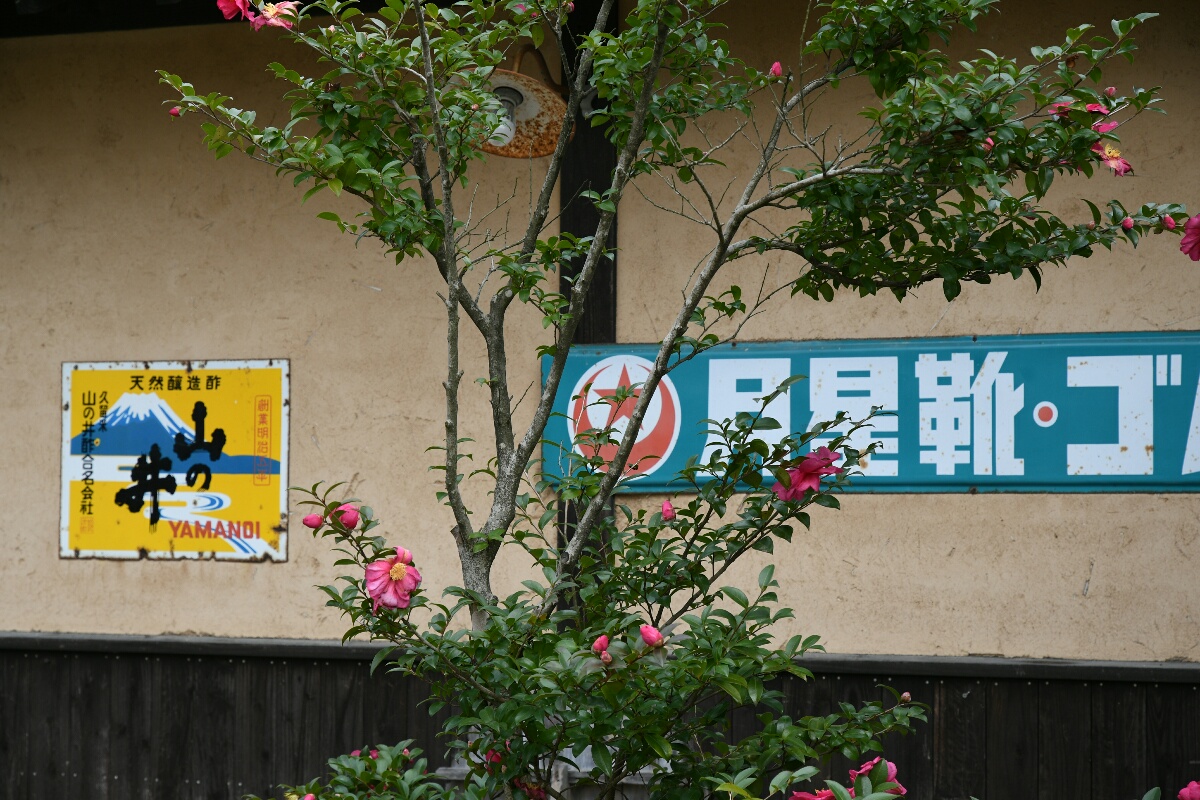 b0190445_20504027.jpg