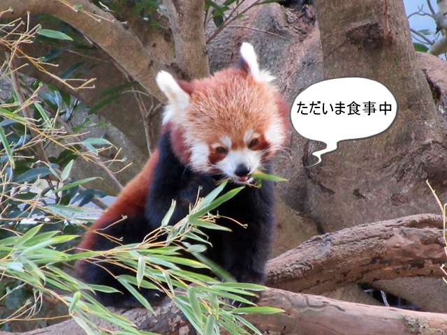 b0009849_10411072.jpg