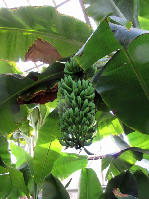 b0009849_18131254.jpg