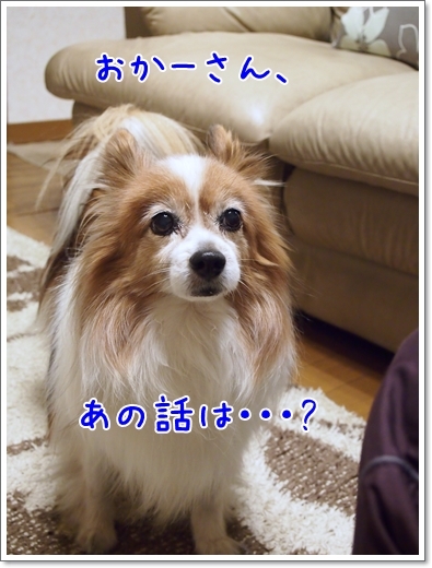 d0013149_01080435.jpg