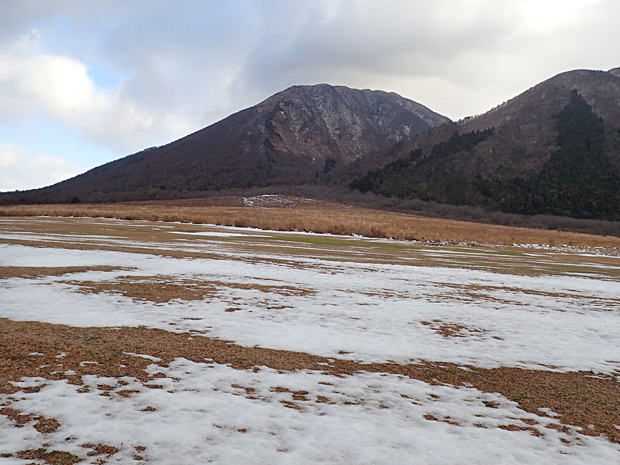 f0214649_4565836.jpg