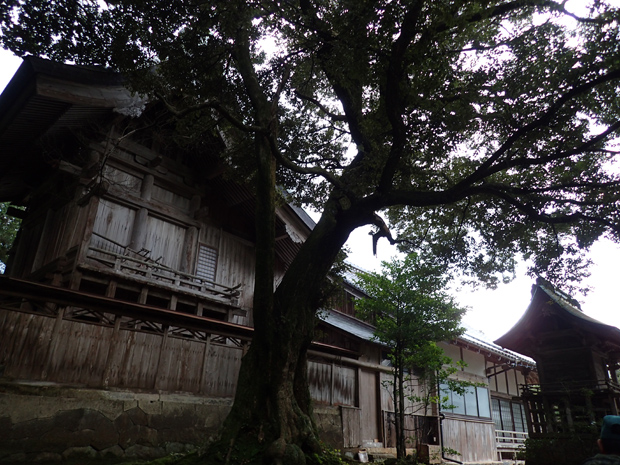 f0214649_5151490.jpg