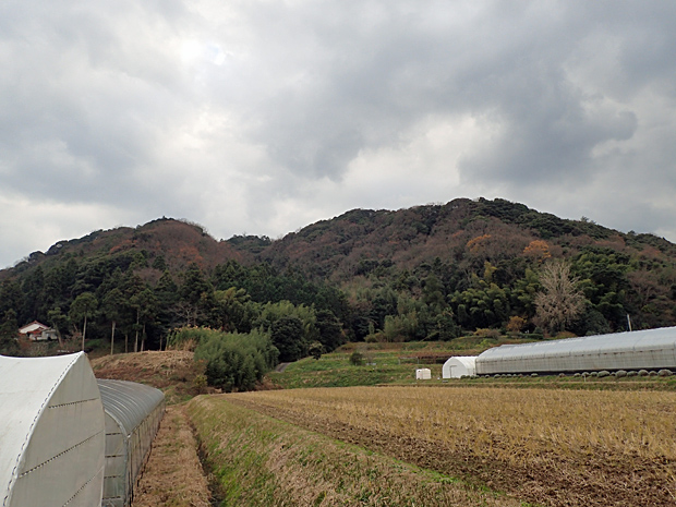 f0214649_55246.jpg
