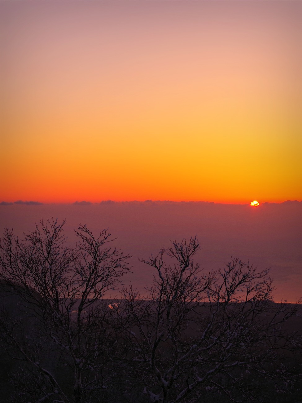 e0105954_2113311.jpg