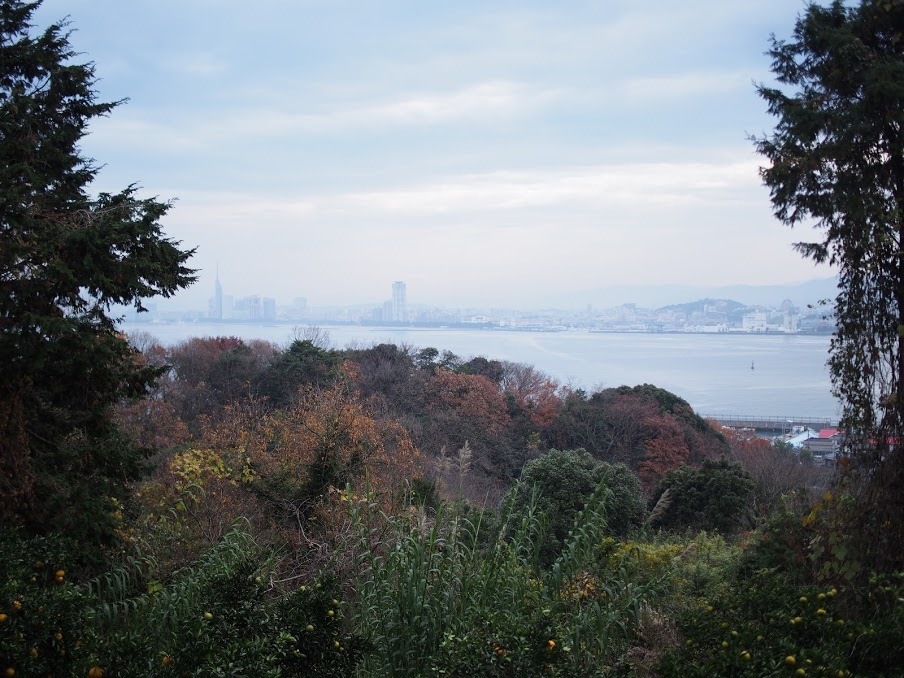 f0201157_13462299.jpg