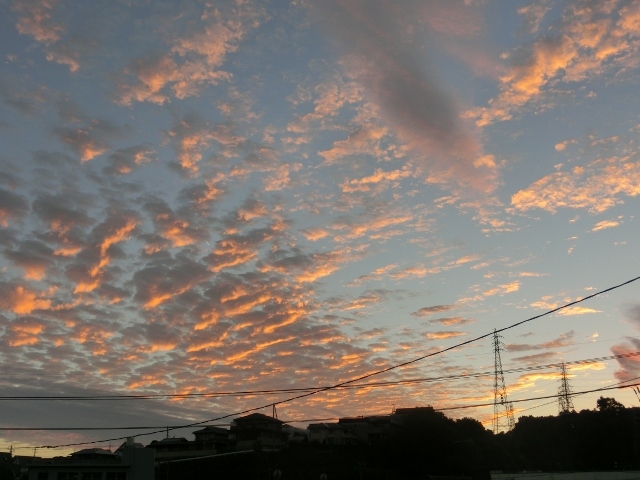 c0328559_14511668.jpg