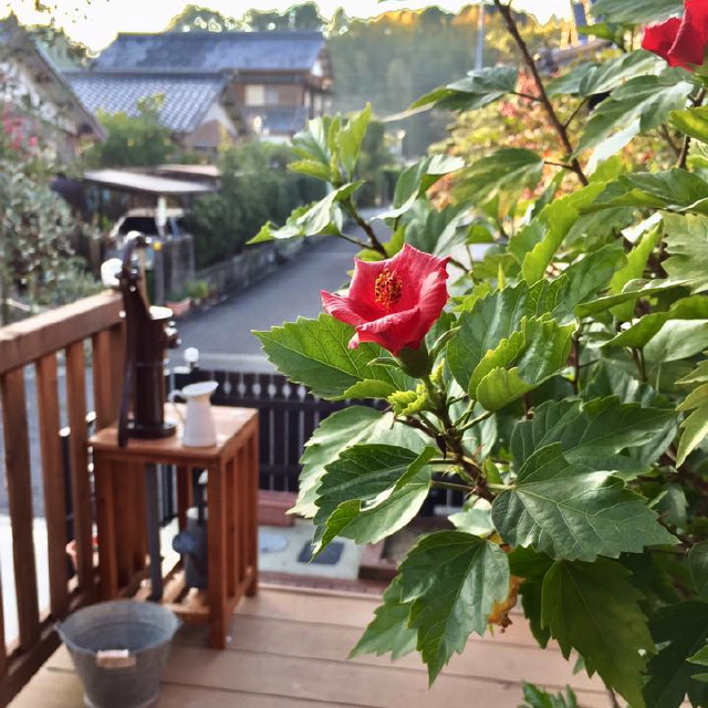 c0123363_22122565.jpg