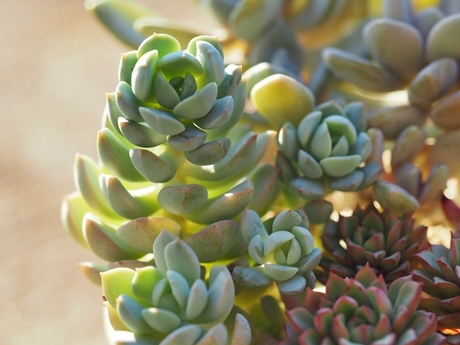 e0264374_07102214.jpg