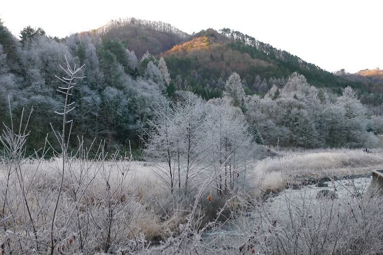 a0130586_10195419.jpg