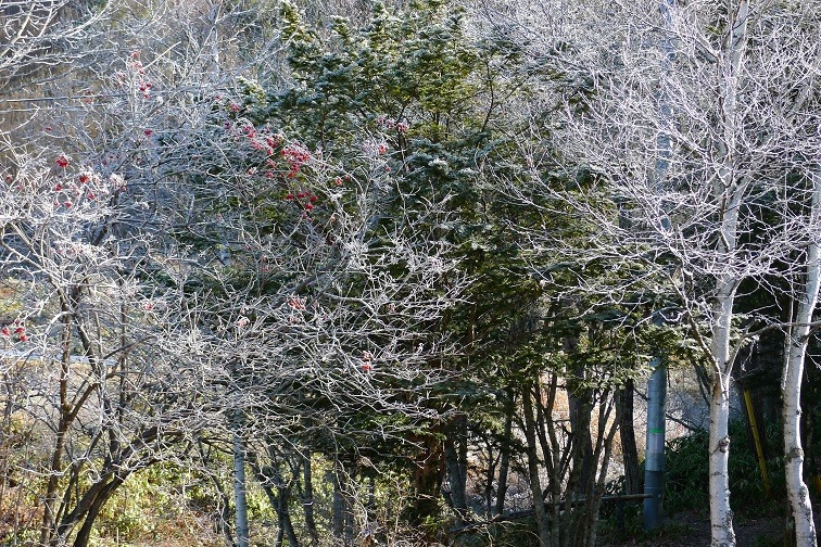 a0130586_10394738.jpg