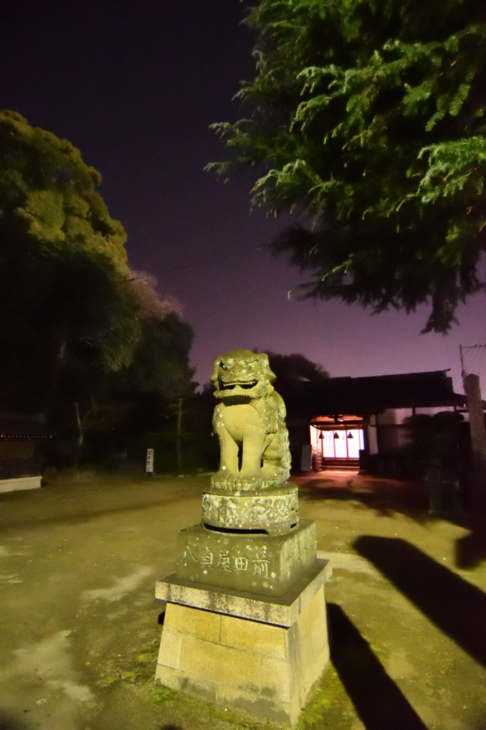 a0143491_384690.jpg