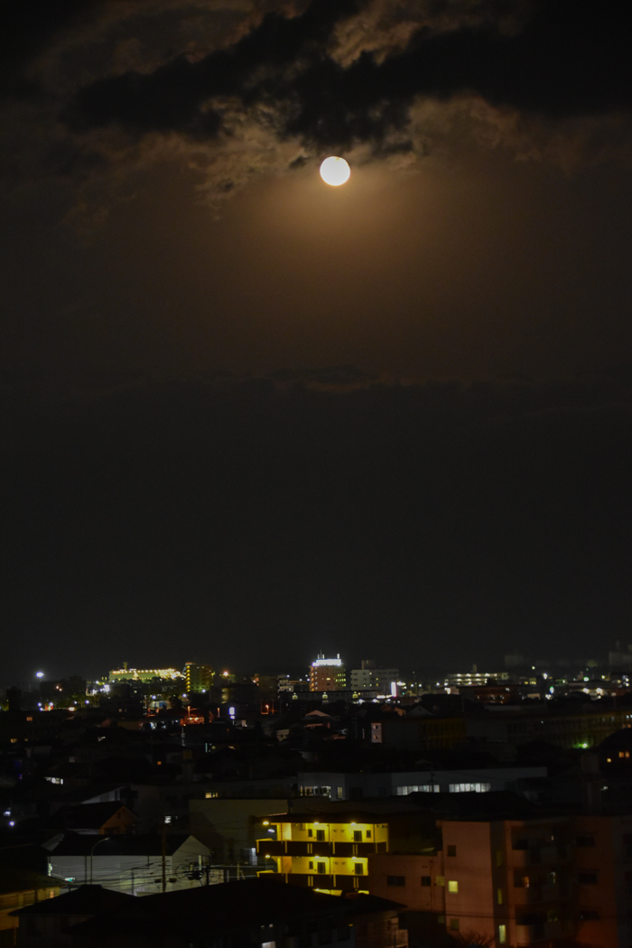 c0049299_22120946.jpg