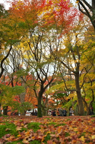 a0263109_11145318.jpg