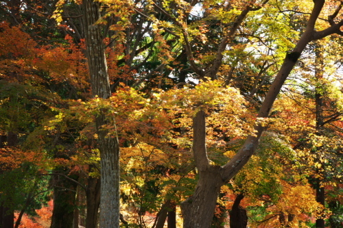 a0263109_13195699.jpg