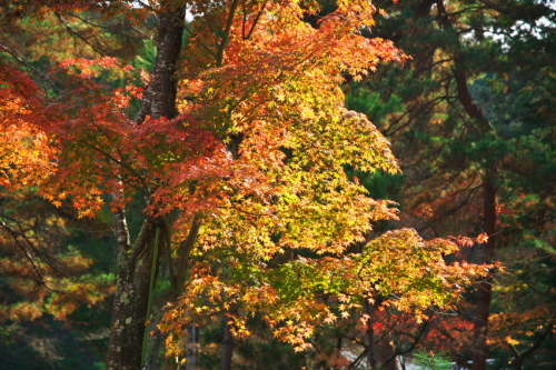 a0263109_13210873.jpg