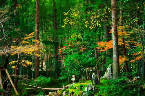 a0263109_13332203.jpg