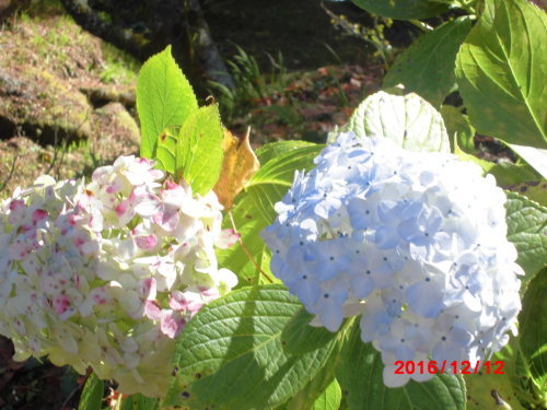 a0019212_00475169.jpg