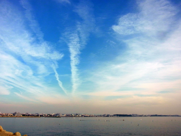 e0083517_00304578.jpg