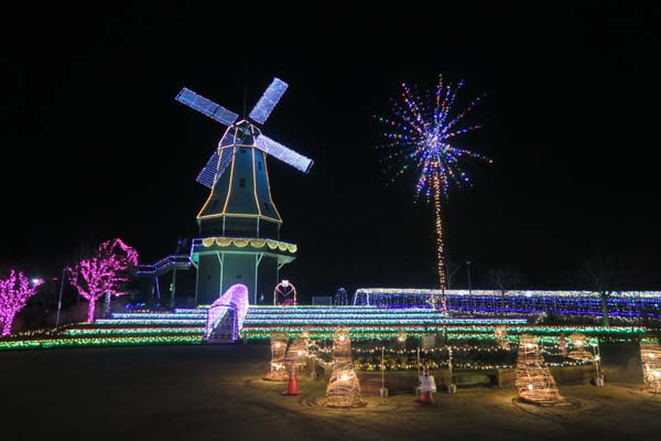 f0147025_21584876.jpg