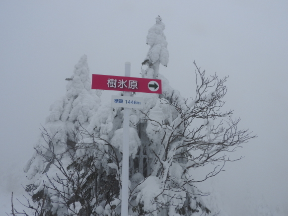 f0118332_01002215.jpg