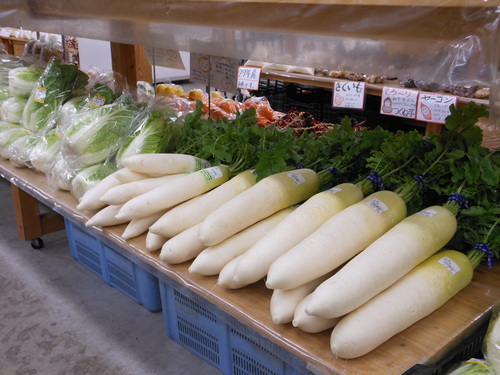 f0227432_11165826.jpg