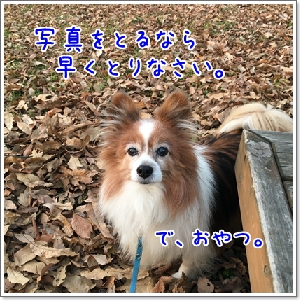 d0013149_23581946.jpeg