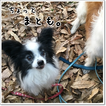 d0013149_23583081.jpeg