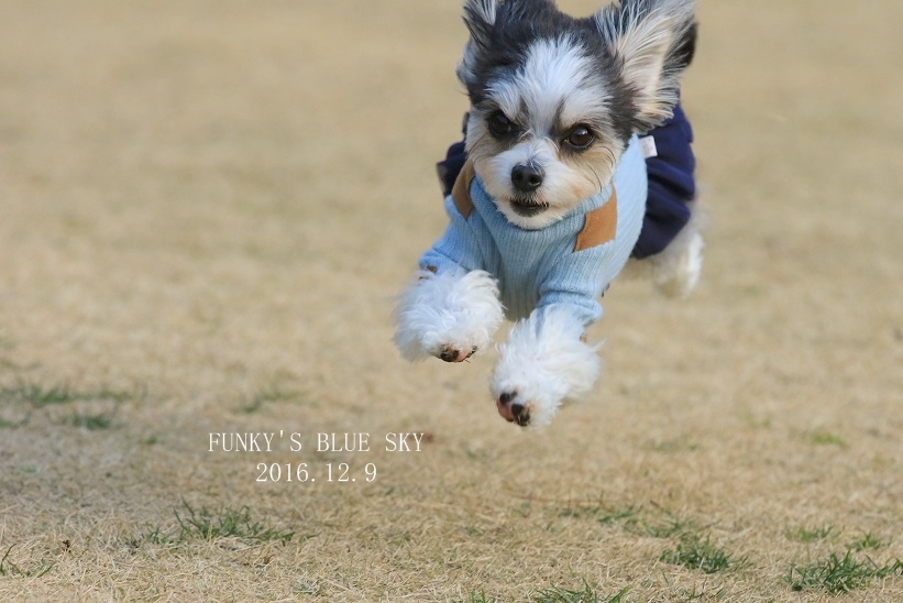 c0145250_17025721.jpg