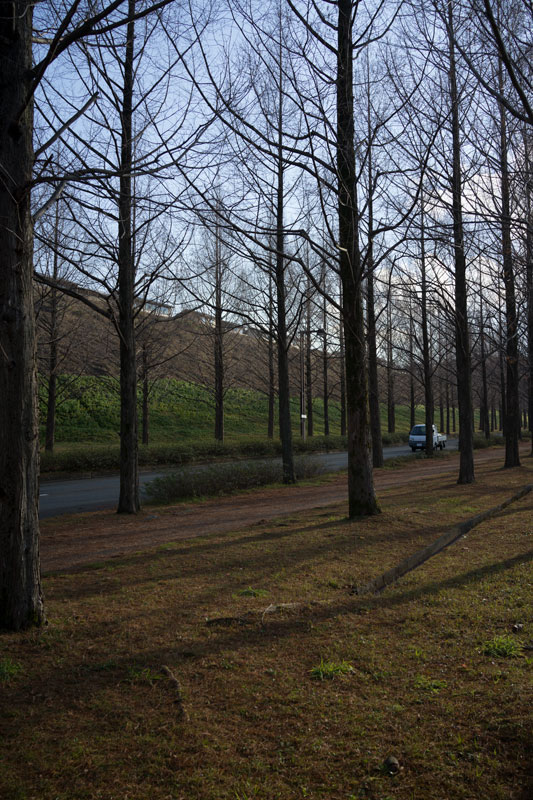 d0342652_12593360.jpg