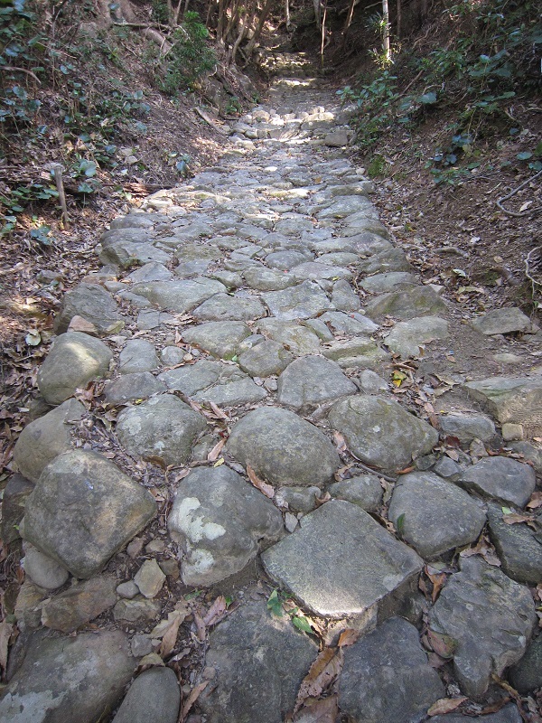 a0170390_10071743.jpg