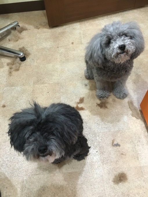 d0269898_17191750.jpeg