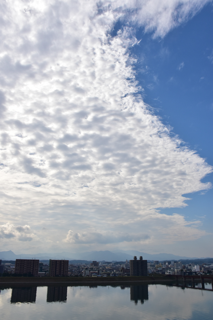c0049299_22064751.jpg