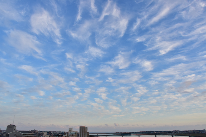c0049299_22385160.jpg