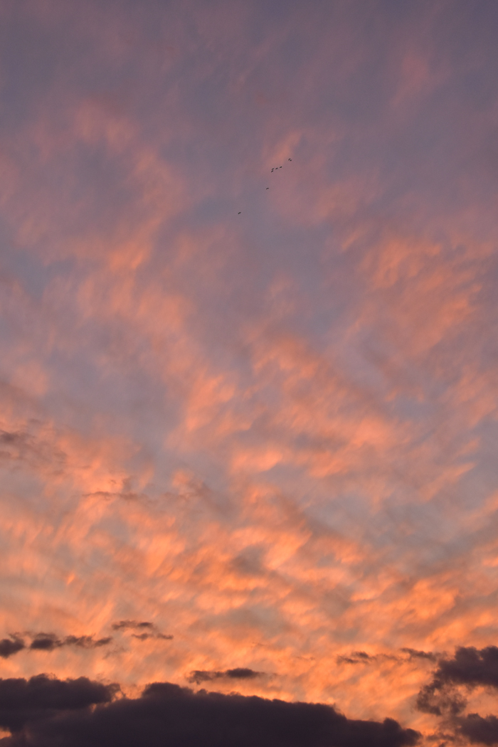 c0049299_22461798.jpg