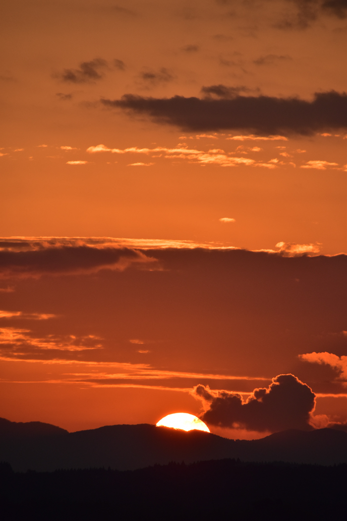 c0049299_22474777.jpg