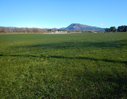 e0077899_8235534.jpg