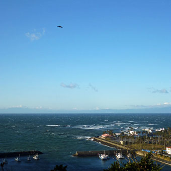c0195909_11312637.jpg