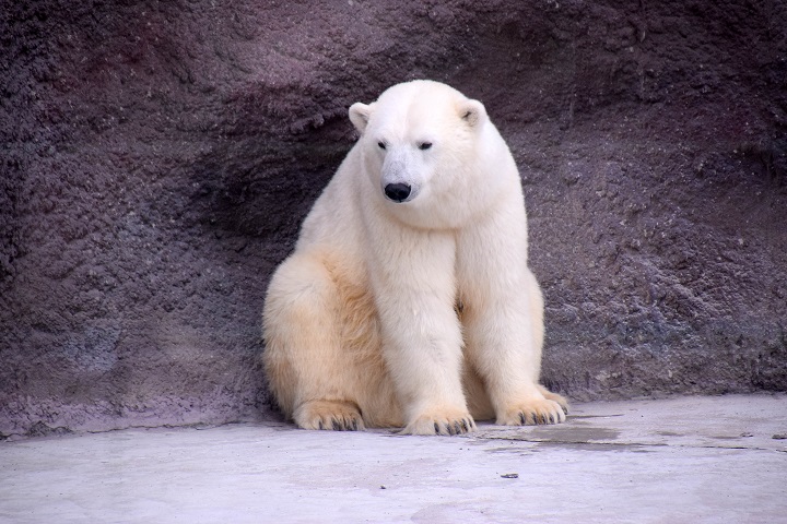 a0151913_1733643.jpg
