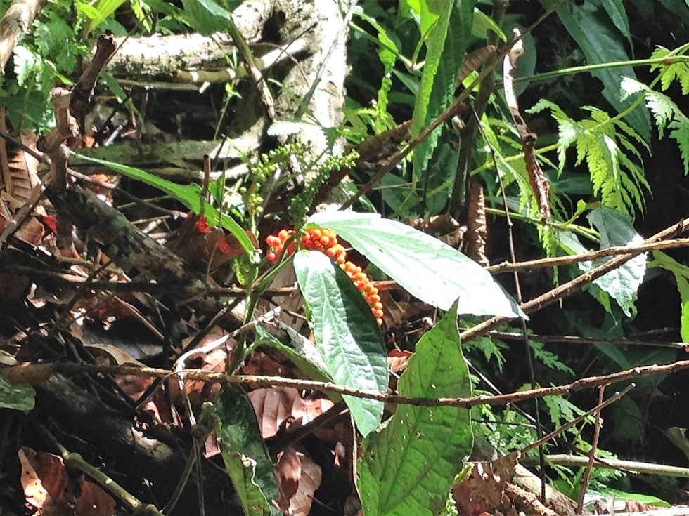 d0007913_23350556.jpg
