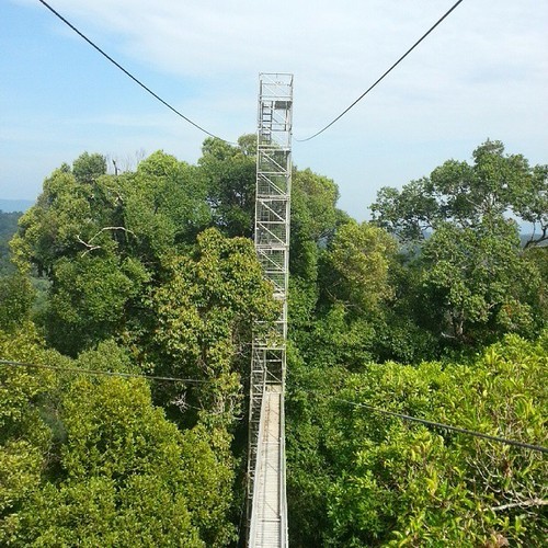 d0007913_23361657.jpg