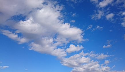 d0113613_1455159.jpg