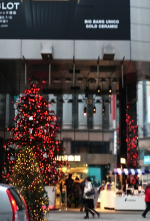 d0113613_1471585.jpg