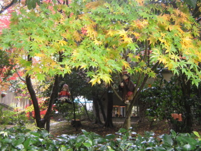 d0162225_00051921.jpg