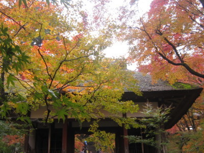 d0162225_00061300.jpg
