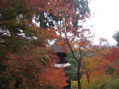 d0162225_00213940.jpg