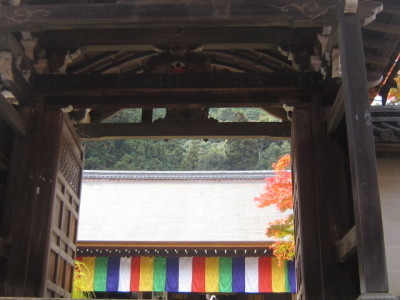 d0162225_00371955.jpg