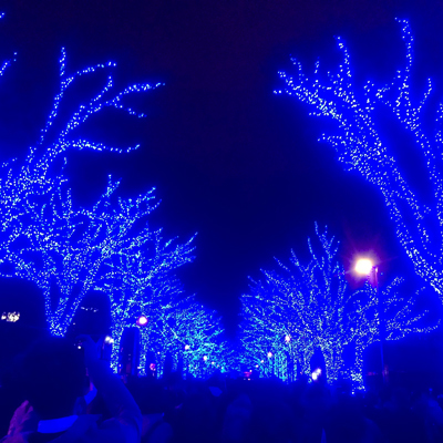 a0275527_20122603.jpg